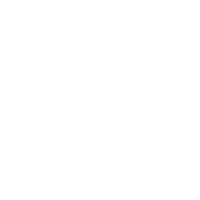 gear icon 2x